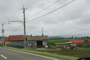 乡村公路旁的农舍景象