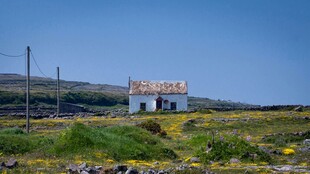 田野中的老旧白色小屋