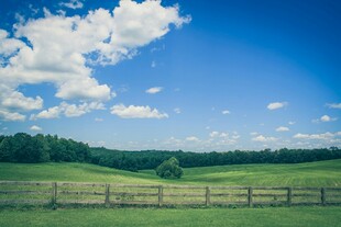 田园风光中的木栅栏美景