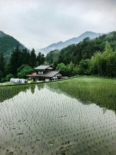 田园水乡美景