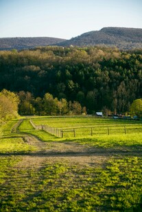 田园绿野间的自然美景