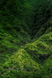 翠绿山峦间的自然美景