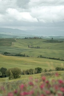 田园绿野间的烂漫花景