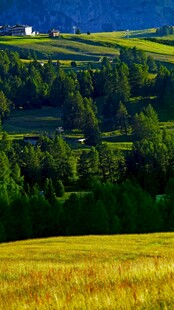 田园风光美景