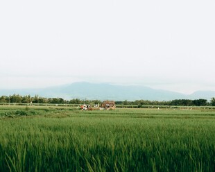 广袤绿野田园风光美景