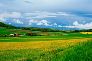 田园风光美景如画