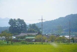 乡村田园风光美景