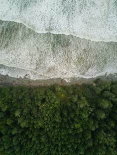 海岸绿植俯瞰美景