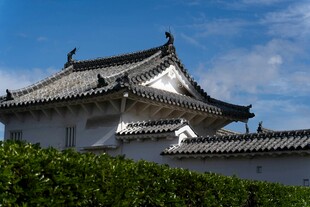 中式古建筑屋顶景观