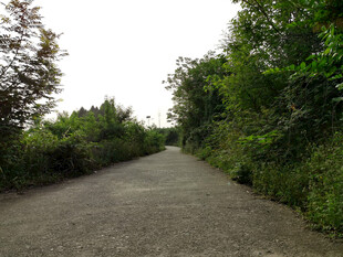 乡间公路