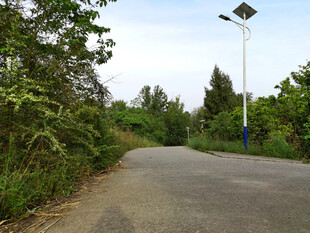 乡间公路