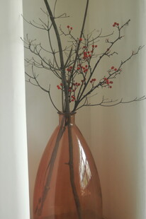 铜色花瓶插着带花枝条