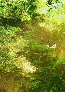 阳光洒落的绿意盎然草地