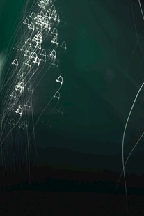 夜空中绚烂的烟花绽放