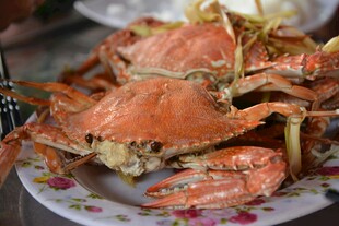 美味大螃蟹摆于花盘上