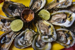 鲜蚝配青柠 美味诱人