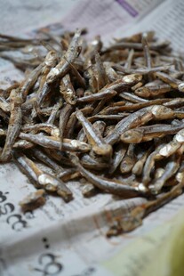 干小鱼干货特写