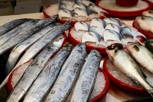 新鲜海鱼摆放在盘中