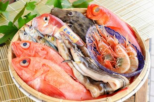 新鲜多样海鱼大集合