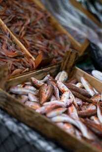 海鲜干货展示