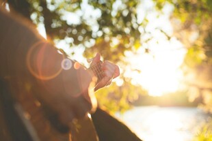 阳光下的惬意户外时光