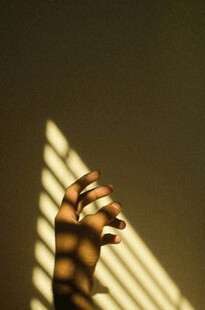 光影下的手影艺术