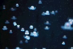 梦幻蓝色光斑悬浮画面