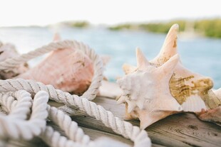 海边绳结与多彩贝壳