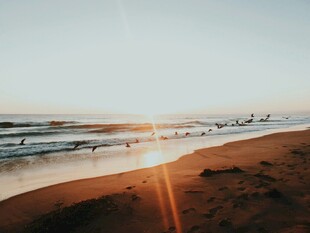 夕阳下的美丽海滩景象