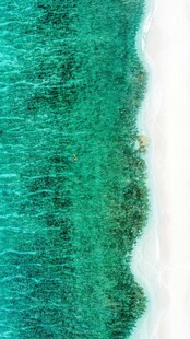 翠绿海岸线