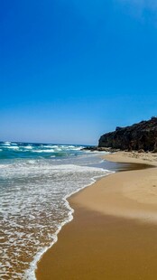 美丽海滨沙滩风景画面