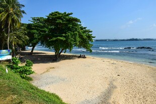 美丽热带海滩风光