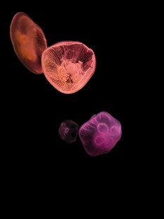 多彩宝石悬浮画面展示
