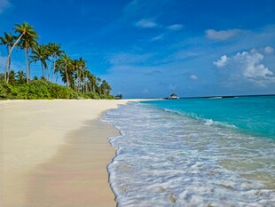 美丽海滨沙滩海景风光