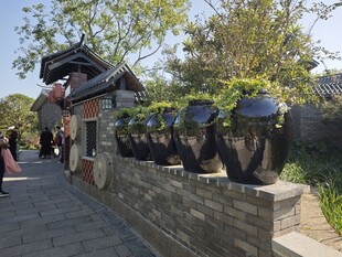 古墙边的一排绿植大缸