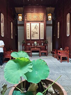 中式庭院中的绿植与古建