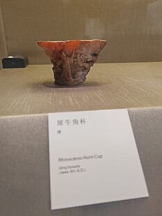 明代犀角杯展示
