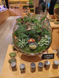 创意绿植景观摆件展示