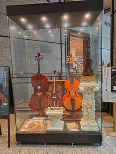 玻璃柜中的精美弦乐器