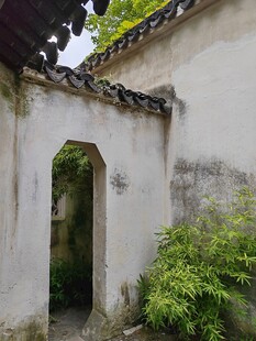 古宅拱门绿意环绕