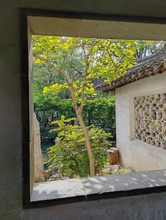 窗外庭院绿意景致