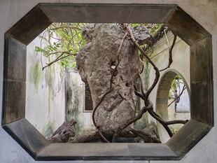 中式庭院窗景古朴雅致假山 藤蔓