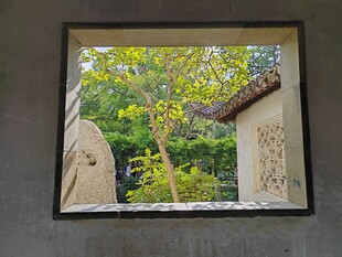 框中景 窗内窗外的景致