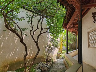 中式庭院一角清幽景致