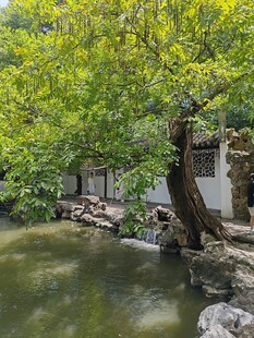 中式园林水景绿树成荫