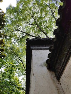 中式屋檐下的绿意景致