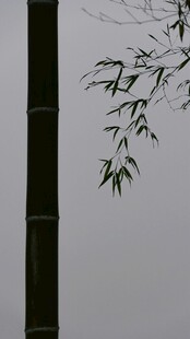 墨竹倚竿图