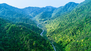 青山绿水间的蜿蜒山谷
