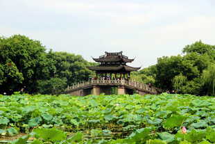荷塘中的古典亭阁美景