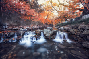 秋日山间潺潺溪流美景